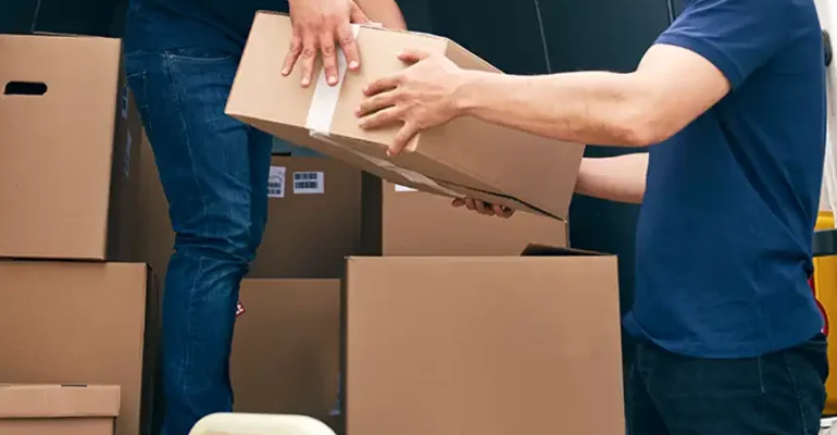 distribution